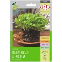 Sementes Brotos Microverdes de Alface Deva Super ISLA Sementes Brotos Microverdes de Alface Deva Super ISLA