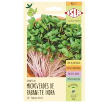 Sementes Brotos Microverdes de Rabanete Indra ISLA Sementes Brotos Microverdes de Rabanete Indra ISLA