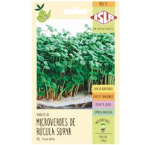 Sementes Brotos Microverdes de Rúcula Surya ISLA Sementes Brotos Microverdes de Rúcula Surya ISLA