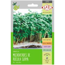 Sementes Brotos Microverdes de Rúcula Surya Super ISLA Sementes Brotos Microverdes de Rúcula Surya Super ISLA
