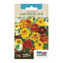 Sementes Capuchinha Anã (Sortida) TOPSEED Sementes Capuchinha Anã (Sortida) TOPSEED