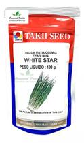 Sementes Cebolinha Híbrida White Star Takii 100g