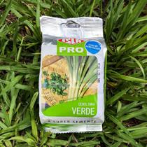 Sementes Cebolinha Verde Isla 50g Kit 2 un Sementes Cebolinha Verde Isla 50g Kit 2 un
