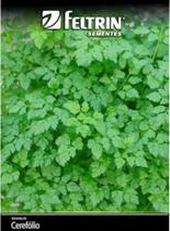 Sementes Cerefolio Samir - contém 100 miligrama Sementes Cerefolio Samir - contém 100 miligrama