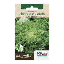 Sementes Chicória Lisa (Escarola) TOPSEED Sementes Chicória Lisa (Escarola) TOPSEED