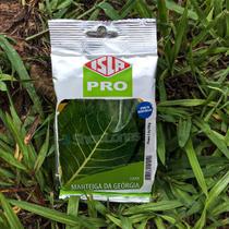 Sementes Couve Manteiga de Georgia Isla 50g Kit 8 un