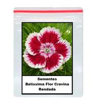 Sementes Da Belíssima Flor Cravina Rendada 180 unidades Sementes Da Belíssima Flor Cravina Rendada 180 unidades