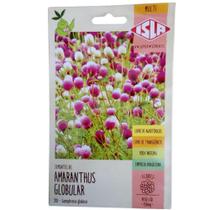 Sementes Da Flor Amaranthus Globular (gonfrena globosa) - Isla
