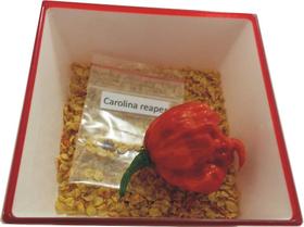 Sementes da Pimenta Carolina Reaper - 1500 Unidades, a Pimenta Forte e Segunda Mais Ardida do Mundo Sementes da Pimenta Carolina Reaper - 1500 Unidades, a Pimenta Forte e Segunda Mais Ardida do Mundo