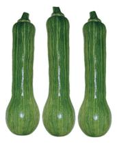 Sementes de Abobora Hibrida Daiane Env C/ 700mg de Sementes