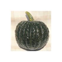 Sementes de Abobora Hibrida Tetsukabuto Env c/ 2gr de Sementes