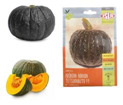 Sementes de Abobora Hibrida Tetsukabuto Env c/ 3gr de Sementes