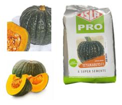 Sementes de Abobora Hibrida Tetsukabuto Pac c/ 250gr de Sementes