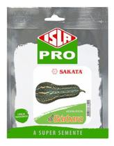 Sementes de Abobora Hibrido Barbara Pac c/ 100 Sementes