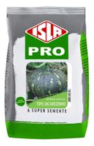 Sementes de Abobora Itapua 301 Tipo Jacarezinho - 500gr Sementes de Abobora Itapua 301 Tipo Jacarezinho - 500gr