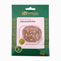 Sementes de Abóbora Jacarezinho Moranga 10g Horticeres - Plantio o Ano Todo