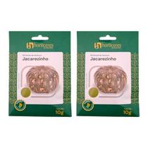 Sementes de Abóbora Jacarezinho Moranga 20g Horticeres - Plantio o Ano Todo Sementes de Abóbora Jacarezinho Moranga 20g Horticeres - Plantio o Ano Todo