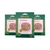 Sementes de Abóbora Jacarezinho Moranga 30g Horticeres - Plantio o Ano Todo Sementes de Abóbora Jacarezinho Moranga 30g Horticeres - Plantio o Ano Todo