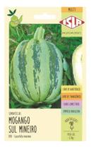 Sementes de Abobora Mogango Sul Mineiro Env c/ 2.50gr