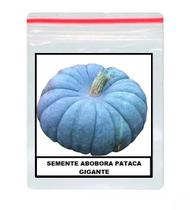 Sementes De Abóbora Moranga Pataca 100 unidades Sementes De Abóbora Moranga Pataca 100 unidades