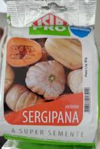 Sementes de Abobora Sergipana 50g - Isla