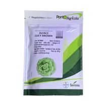 Sementes De Alface Americana Lucy Brown 5.000 sementes