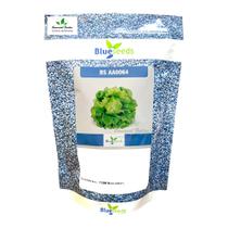 Sementes de Alface BS AA0064 Peletizada Pcte C/ 7.500 Sementes