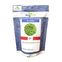 Sementes de Alface BS AC0055 Peletizada Pcte C/ 7.500 Sementes