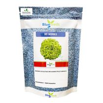Sementes de Alface BS AC0063 Peletizada Pcte C/ 7.500 Sementes