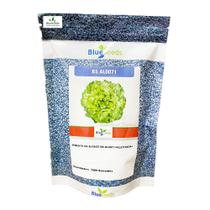 Sementes de Alface BS AL0071 Peletizada Pcte C/ 7.500 Sementes