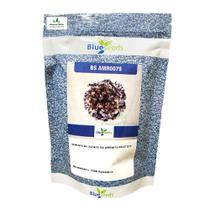 Sementes de Alface BS AMR0075 Peletizada Pcte C/ 7.500 Sementes