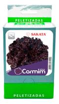 Sementes de Alface Camim CX C/ 2.000 Sementes Peletizada Sementes de Alface Camim CX C/ 2.000 Sementes Peletizada