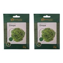 Sementes de Alface Crespa 20g Horticeres Folhas Verdes e Crocantes Sementes de Alface Crespa 20g Horticeres Folhas Verdes e Crocantes