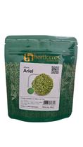 Sementes De Alface Crespa Ariel Para Horta (linha ouro)- 5.000 Sementes De Alface Crespa Ariel Para Horta (linha ouro)- 5.000