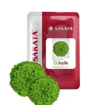 Sementes De Alface Crespa Jade - 7.500 Sementes - Sakata Sementes De Alface Crespa Jade - 7.500 Sementes - Sakata