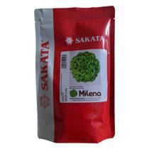 Sementes De Alface Crespa Milena - 25.000 sementes - Sakata