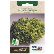 Sementes de Alface Crespa para Inverno TOPSEED