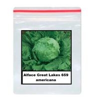 Sementes De Alface Great Lakes 659 americana 100 unidades Sementes De Alface Great Lakes 659 americana 100 unidades
