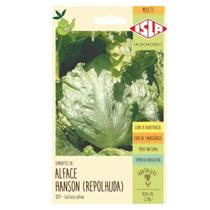 Sementes de Alface Hanson Crespa Repolhuda ISLA Sementes de Alface Hanson Crespa Repolhuda ISLA