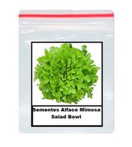 Sementes De alface mimosa salad bowl 100 unidades Sementes De alface mimosa salad bowl 100 unidades