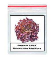 Sementes De alface mimosa salad bowl Roxa 100 unidades Sementes De alface mimosa salad bowl Roxa 100 unidades
