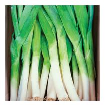 Sementes de Alho-Porro Nero 4gr