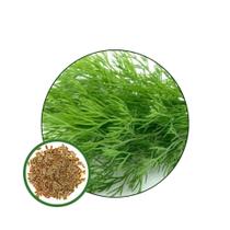 Sementes de Aneto/Dill/Endro 400mg Sementes de Aneto/Dill/Endro 400mg