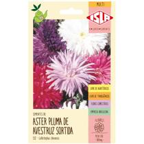 Sementes de Aster da China Pluma de Avestruz Sortida ISLA