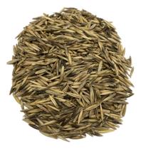 Sementes de Aveia Preta - 3KG Sementes de Aveia Preta - 3KG