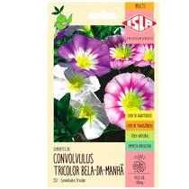 Sementes de Bela da Manhã Convolvulus Tricolor (Sortida)ISLA