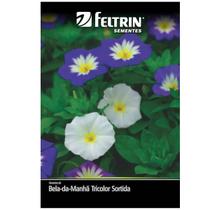Sementes de Bela da Manhã Tricolor (Sortida) FELTRIN