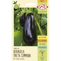 Sementes de Berinjela Preta Comprida 1 Grama - 5921 - ISLA