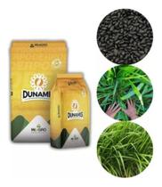 Sementes de Brachiaria Hibrida Dunamis Pac C/ 400gr