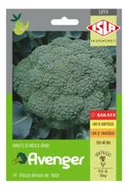 Sementes de Brocolis Avenger Hibrido Env C/ 120mg